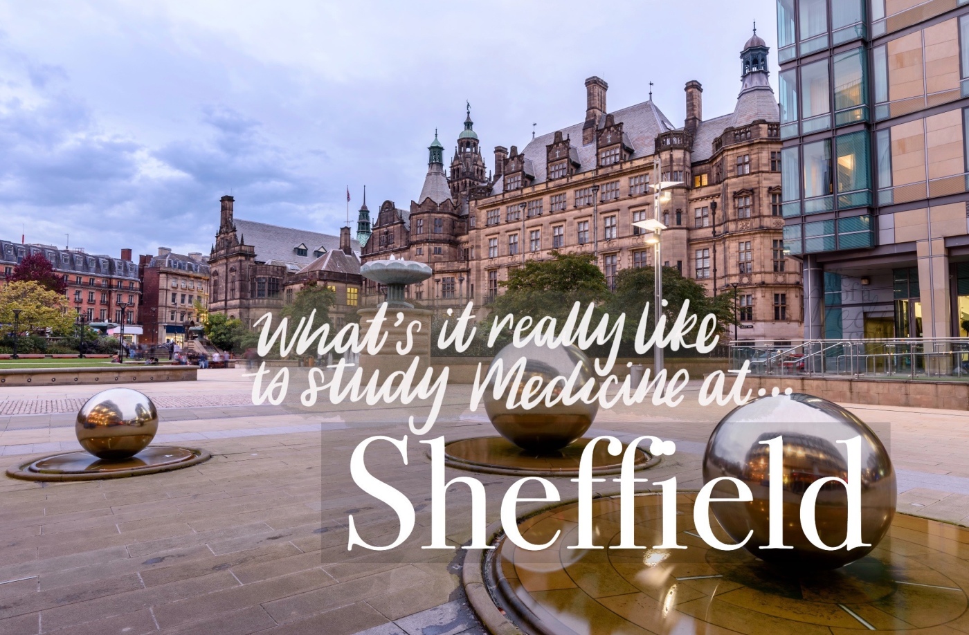 What's it Really Like To Study Medicine at Sheffield Medical School? – Life  of a Medic